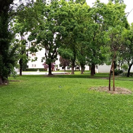 Chambre Double Greg En Colocation Montpellier Zewnętrze zdjęcie