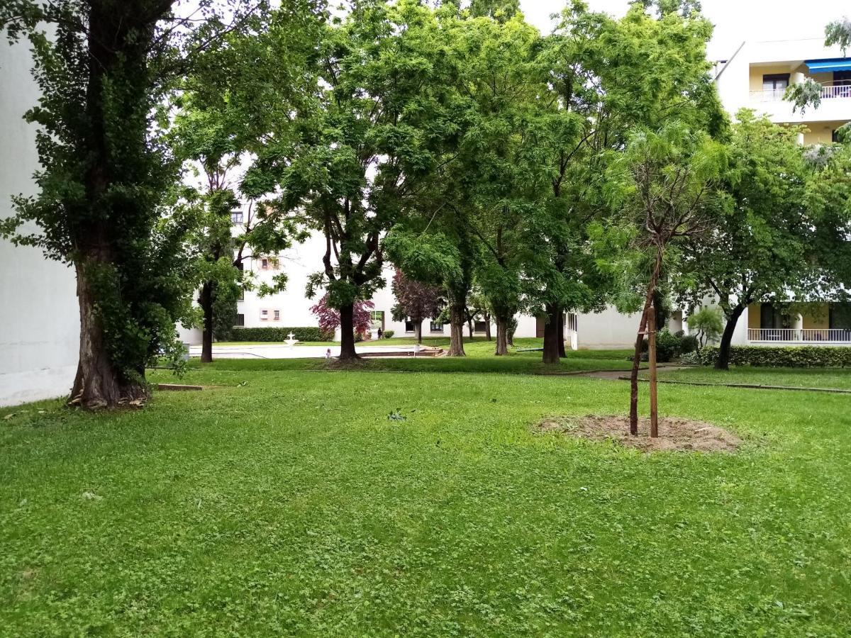 Chambre Double Greg En Colocation Montpellier Zewnętrze zdjęcie